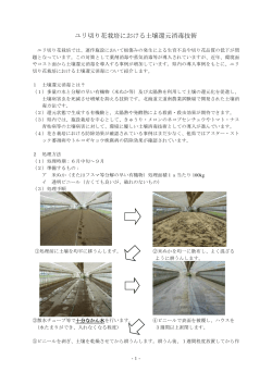 ユリ切り花栽培における土壌還元消毒技術(6月)