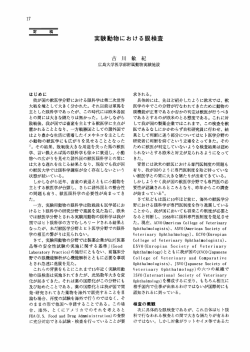 実験動物における眼検査