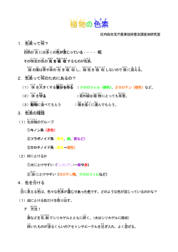 植物 の色素