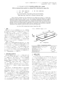 リブを有する平行平板間乱流熱伝達の DNS - 河村研究室