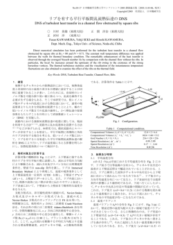 リブを有する平行平板間乱流熱伝達の DNS - 河村研究室