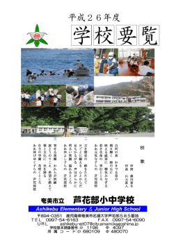 概要（PDF：1353KB） - 奄美市