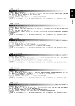 レッドデータブックふくしまⅠ 植物・昆虫類・鳥類 - 311/451page