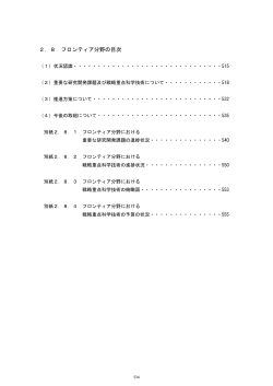 17（PDF） - 内閣府