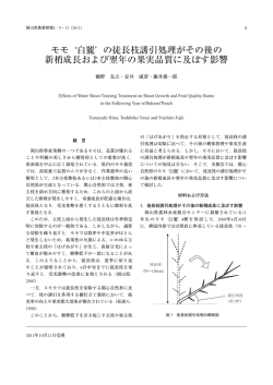 モモ 白麗 の徒長枝誘引処理がその後の 新梢成長および翌年の果実