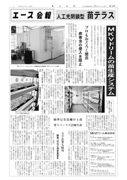 苗テラス