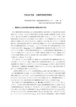 平成 22 年度 大熊研究室研究報告 - 極低温物性研究センター