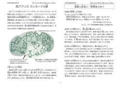 西アフリカ カッセーナの家