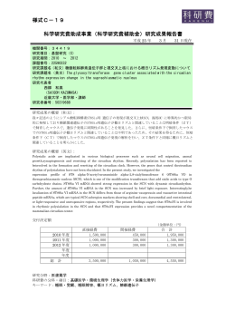 研究成果報告書 - KAKEN - 科学研究費助成事業データベース