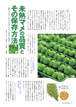 マ メ の 貯 蔵 物 質 と そ の も と に な る 成 分 生 長 ・ 肥 大 に 伴 う 成