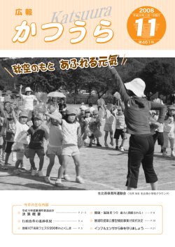 (平成20年)(5.16MBytes) - 勝浦町
