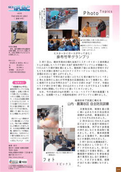 （掛布竹竿グランプリ ／ 山内・菖蒲谷区自主防災訓練）（PDF  - 橋本市