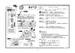 トマト