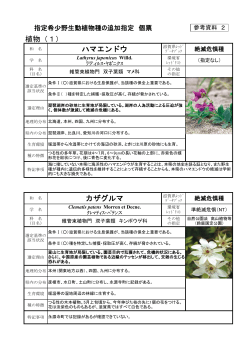 個票（PDF：817KB） - 滋賀県