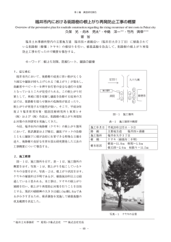 福井市内における街路樹の根上がり再発防止工事の概要