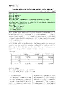研究成果報告書 - KAKEN - 科学研究費助成事業データベース
