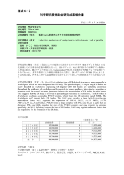 様式 C-19 科学研究費補助金研究成果報告書 - KAKEN - 科学研究費