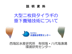 資料2 大型二枚貝タイラギの垂下養殖技術について（PDF：2752KB）