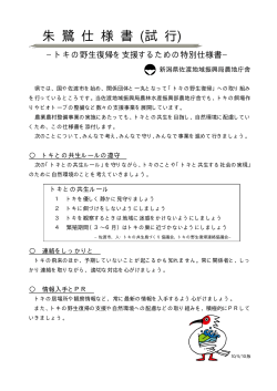 対応の手引き（平成22年5月1日改訂）（PDF形式 82 キロバイト） - 新潟県