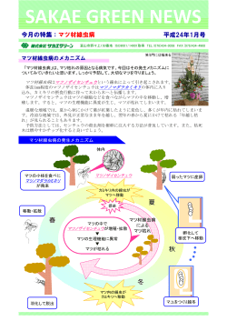 マツ材線虫病