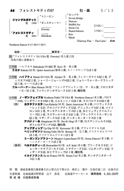 フォレストキティの07 - JRA