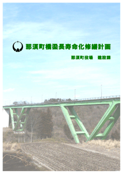 長寿命化修繕計画概要版.pdf [854.6KB] - 那須町