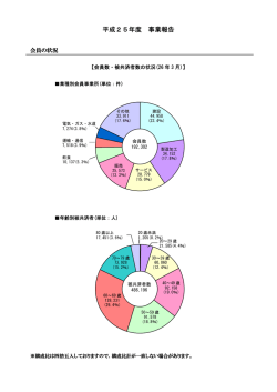 事業報告書 - あんしん財団