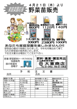 野菜苗販売