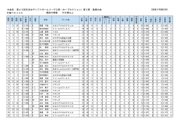 打席以上 規定打席数 第45回日本女子ソフトボールリーグ2部（ホープ