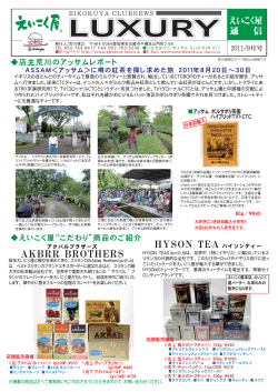 HYSON TEA AKBRR BROTHERS - えいこく屋
