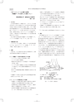 内側縦アーチに着目した文献レビュー