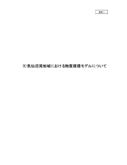 資料1 （1）気仙沼湾地域における物質循環モデルについて