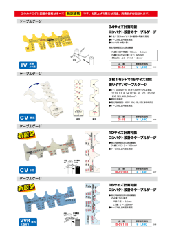 IV CV CV - 760601 www.e-connect.ne.jp