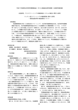 分担研究報告書 分担研究 - 日本子ども家庭総合研究所