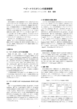 ヘビーメロミオシンの直接観察 19年度（PDF形式）