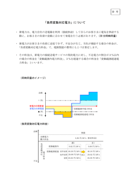 参考資料 「負荷変動対応電力」について
