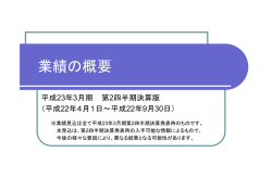 業績の概要