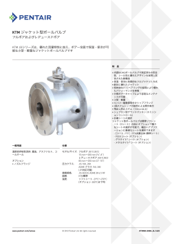 KTM Ball Valves, Model Steam Jacketed - Pentair