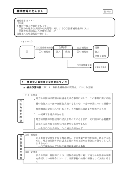 補助金等のあらまし（PDF173KB） - 生駒市