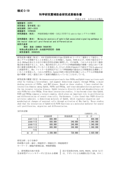 様式 C-19 科学研究費補助金研究成果報告書 - KAKEN - 科学研究費