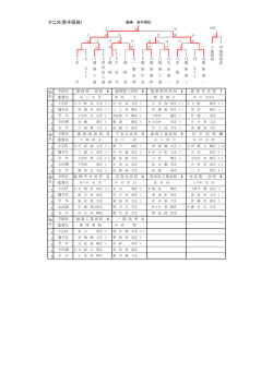 テニス(男子団体)