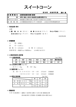 H18-スイートコーン