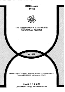 JAERI-Research-97-044.pdf:0.58MB