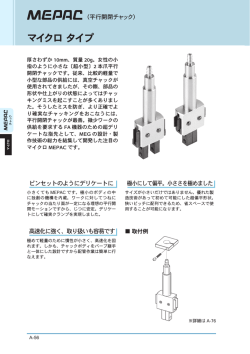 マイクロ タイプ