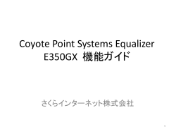 Coyote Point Systems Equalizer 機能ガイド