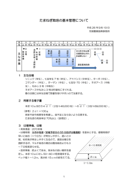 たまねぎ栽培の基本管理について（PDF：945KB）
