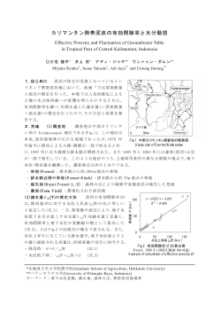 カリマンタン熱帯泥炭の有効間隙率と水分動態