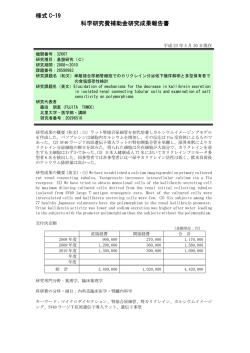 様式 C-19 科学研究費補助金研究成果報告書 - KAKEN - 科学研究費