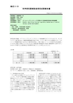 様式 C-19 科学研究費補助金研究成果報告書 - KAKEN - 科学研究費