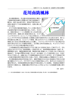 花川南防風林 - 石狩市